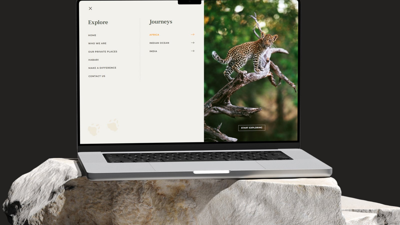 Wildlife Safari Australia, web design by Creative Valkyrie